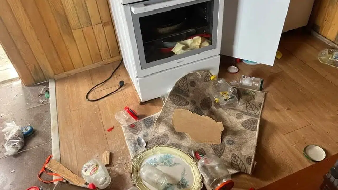 Kış uykusundan uyandılar, yaylaları talan ediyorlar: Doğu Karadeniz'de ayı alarmı