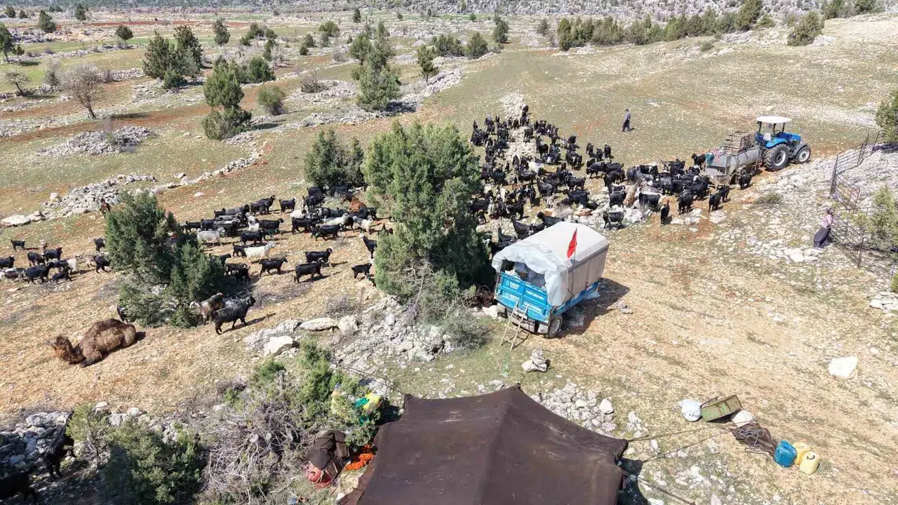 Toroslar’da bin yıllık gelenek yeniden canlandı: Sarıkeçililer yayla yolunda