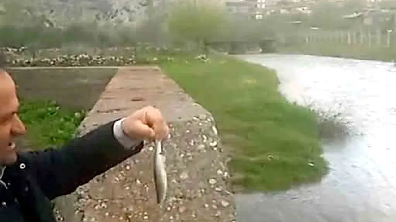 Kuraklığa inat yeniden hayat buldu: Ardıl Çayı yıllar sonra coşkuyla akıyor