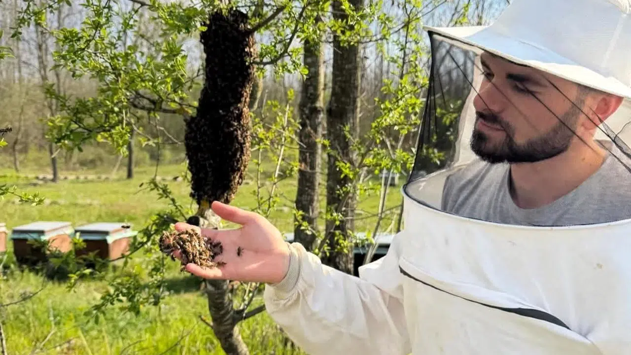 Ballı hasat için sahaya indiler: Vize’de arıcıların mesaisi mercek altında