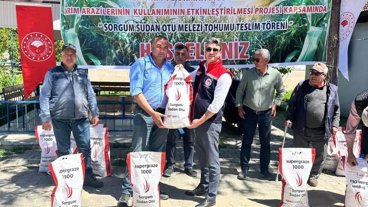 Mısırın tahtını sallayan mucize bitki: Çiftçinin y…