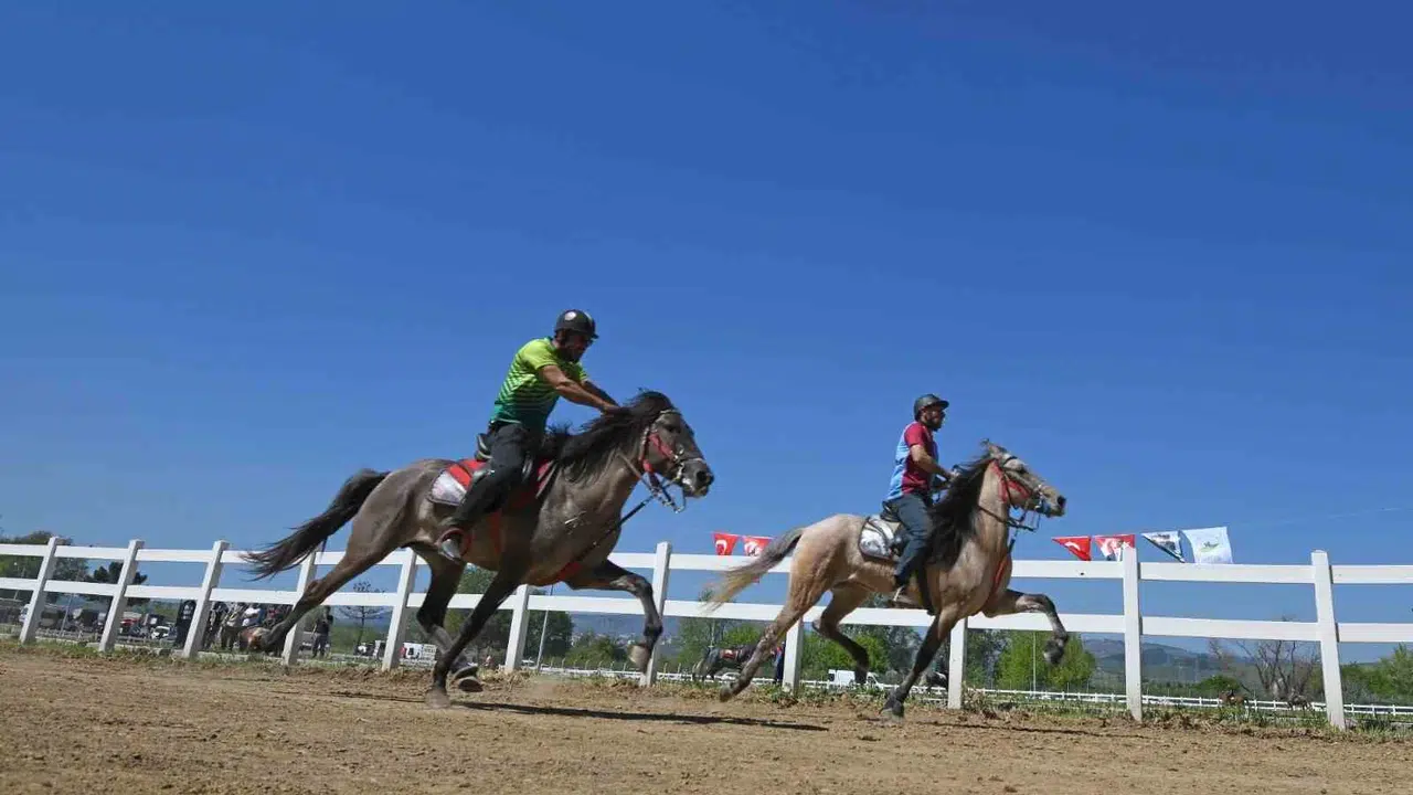 Osmangazi'de toz duman birbirine karıştı: Ata mirası rahvan atlar 700. yıl için sahaya indi
