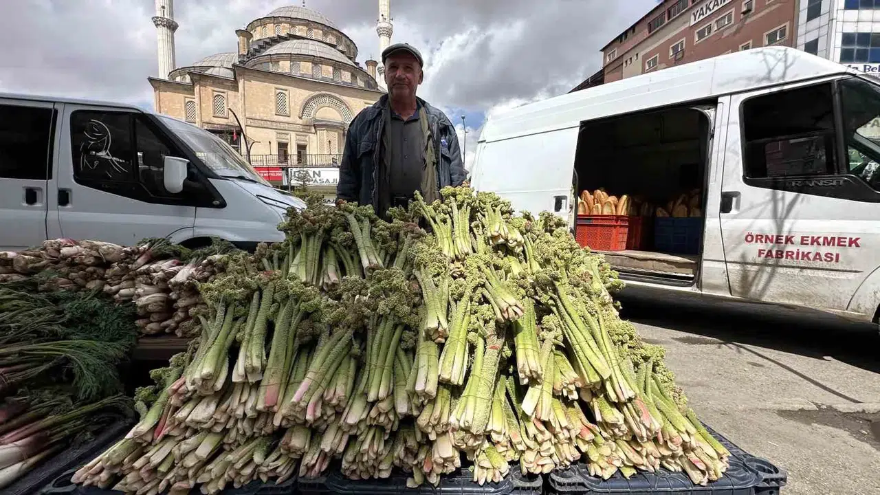 Dağların şifalı meyvesi tezgahlara indi: Yayla muzunda sezon 150 liradan açıldı