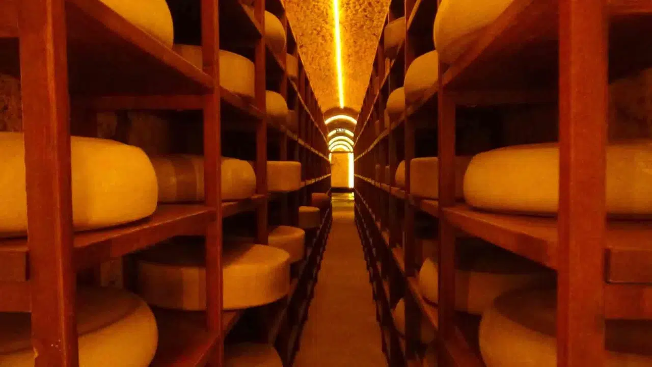 Sadece peynir değil bir kültürün aynası: Kars’ın lezzet rotası turist akınına uğruyor