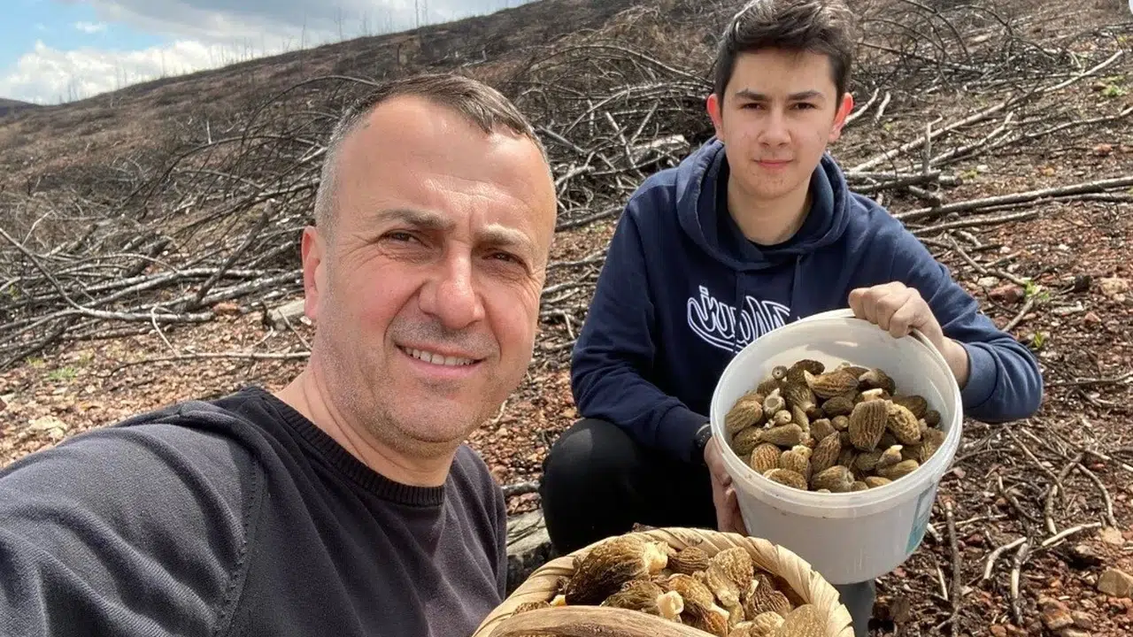Ormanda hazine avına çıktılar: 4 sepeti doldurup görenleri şaşkına çevirdiler