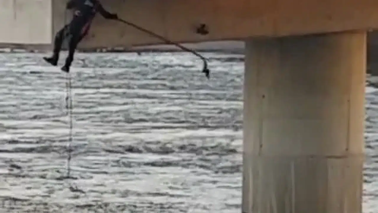 Köprü altında yürek burkan manzara: İtfaiye ekipleri dakikalarla yarıştı