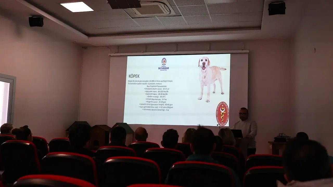 Denizli'de pet shoplara yasal standart eğitimi: 29 işletmeci sertifikasını aldı