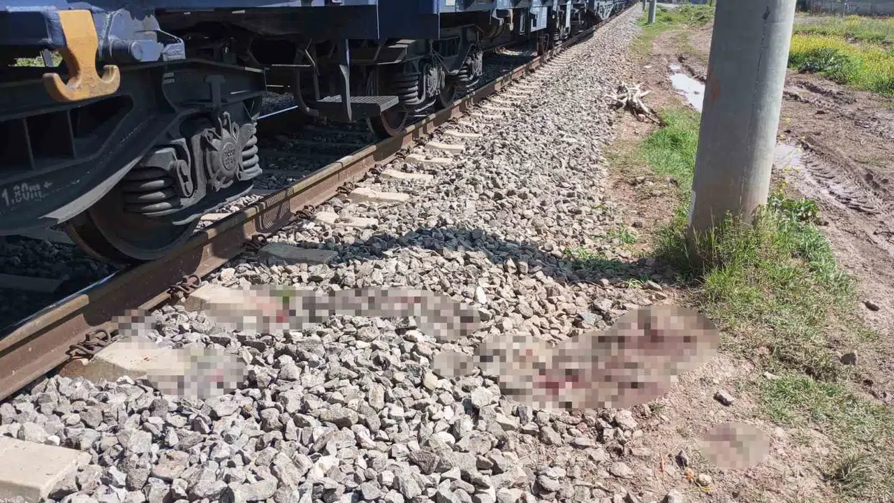 Rayların üzerinde saniyelerle yarıştı: Yük treninin çarptığı adam ölümden döndü