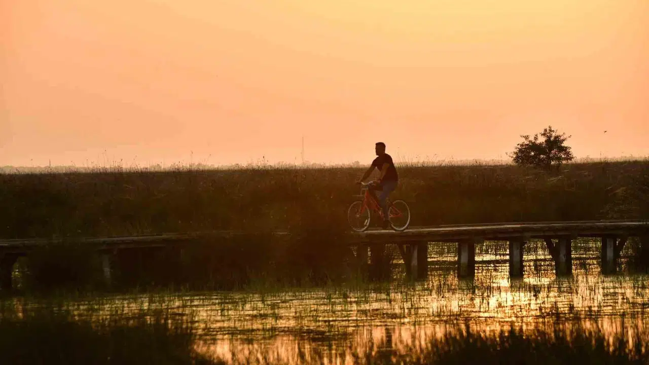 Kızılırmak Deltası’nda bahar şöleni: Zarif misafirler flamingolar objektiflere yansıdı