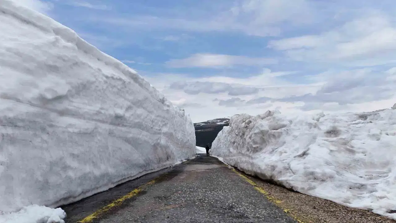 Bahar geldi dediler ama kış gitmek bilmiyor: Ordu’nun zirvelerinde 4 metrelik kar duvarları