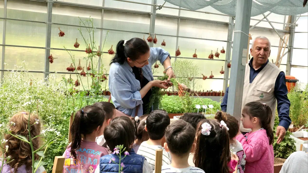 Domatesin market rafına gelmeden önceki yolculuğu: Minik eller toprağın bereketini keşfetti