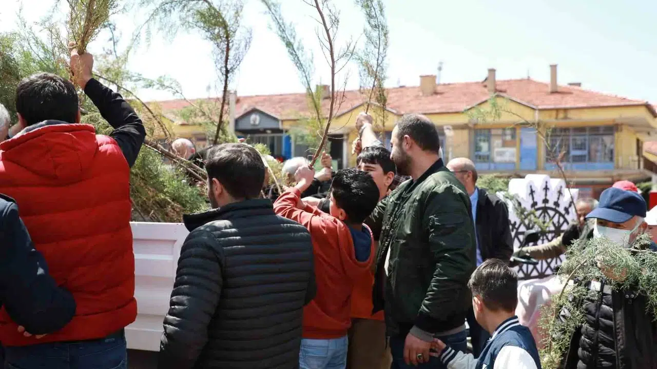 Alaca’da yeşil seferberlik: Cumhuriyet Meydanı’nda 2 bin fidan toprakla buluşmayı bekliyor