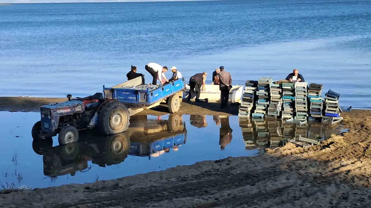 İznik Gölü'nde ağlar doldu taştı: Avrupa'nın cipsi ve parmak balığı bu sulardan çıkıyor