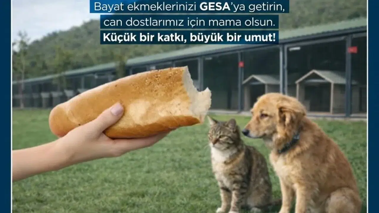 Çöpe giden her lokma bir cana umut oluyor: Germencik’te gıda israfına karşı örnek proje