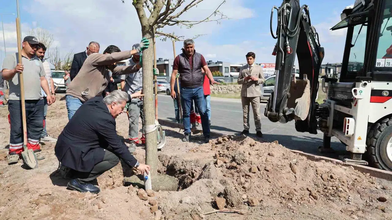 Melikgazi’de fidan bekleme dönemi bitti: Belediye 10 yıllık ağaçları toprakla buluşturuyor