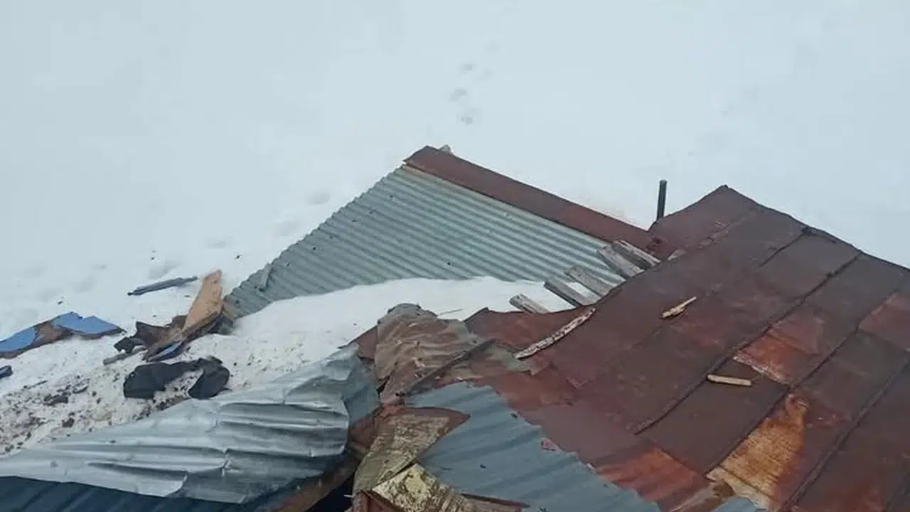 Gümüşhane'de kış uykusuna yatmayan davetsiz misafir: Yayla evini savaş alanına çevirdi