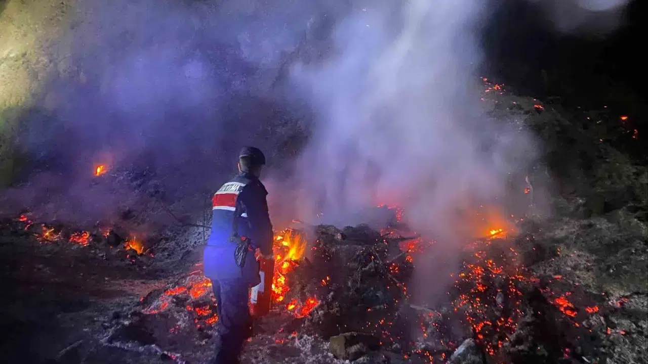 Bilecik’te gece yarısı korkutan alevler: Ekipler zamanla yarıştı