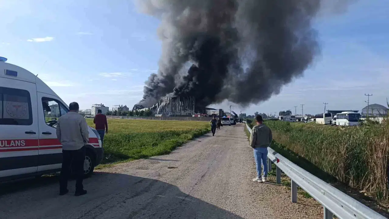 Manavgat’ta korku dolu anlar: Patates fabrikası alevlere teslim oldu