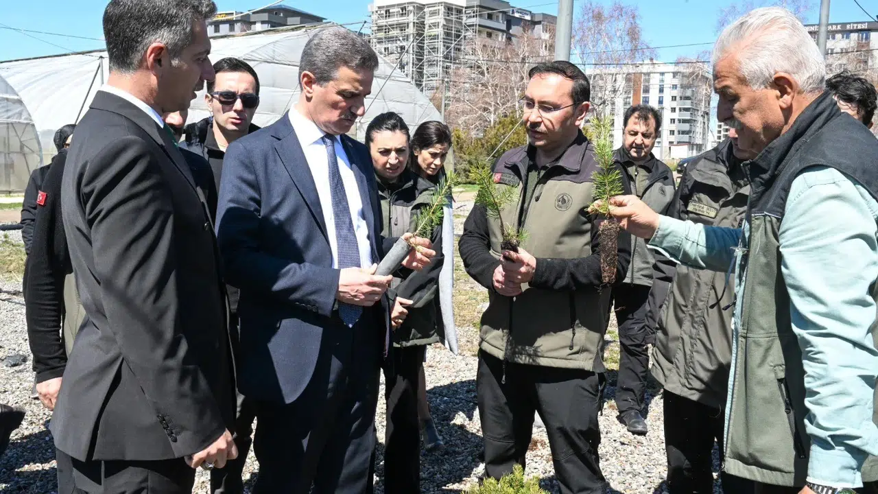 Erzurum’un yeşil geleceği için dev bütçe: 22 yılda 100 milyonu aşkın fidan toprakla buluştu