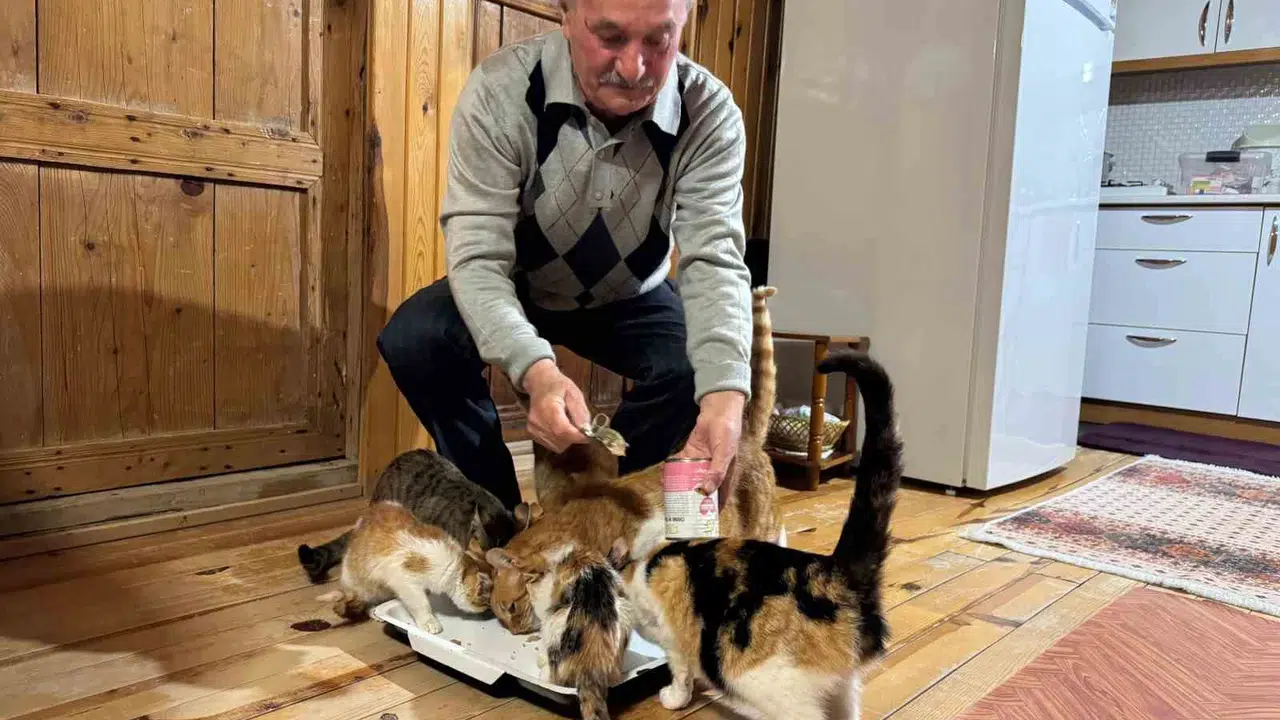 Emekli madencinin gurbet dönüşü yeni hayatı: Evini 18 sokak kedisine yuva yaptı