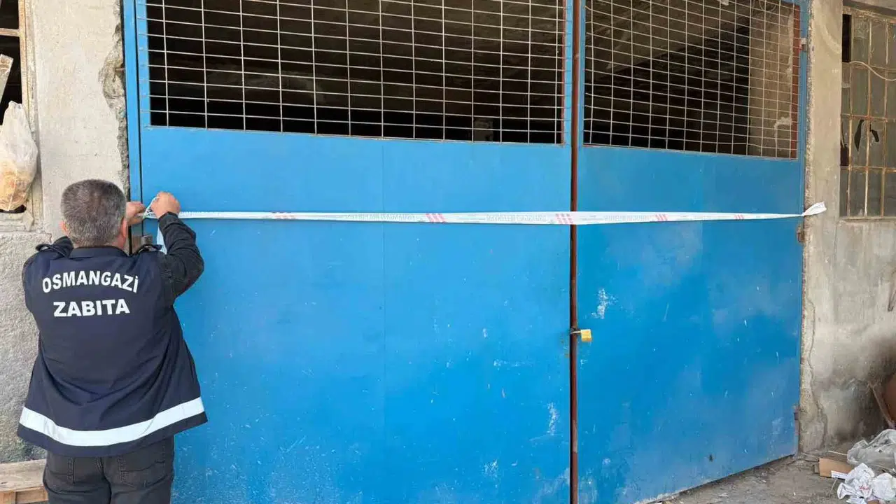 Plakasını bezle gizleyip zehir saçtı: Osmangazi’de çevre katliamına ağır fatura