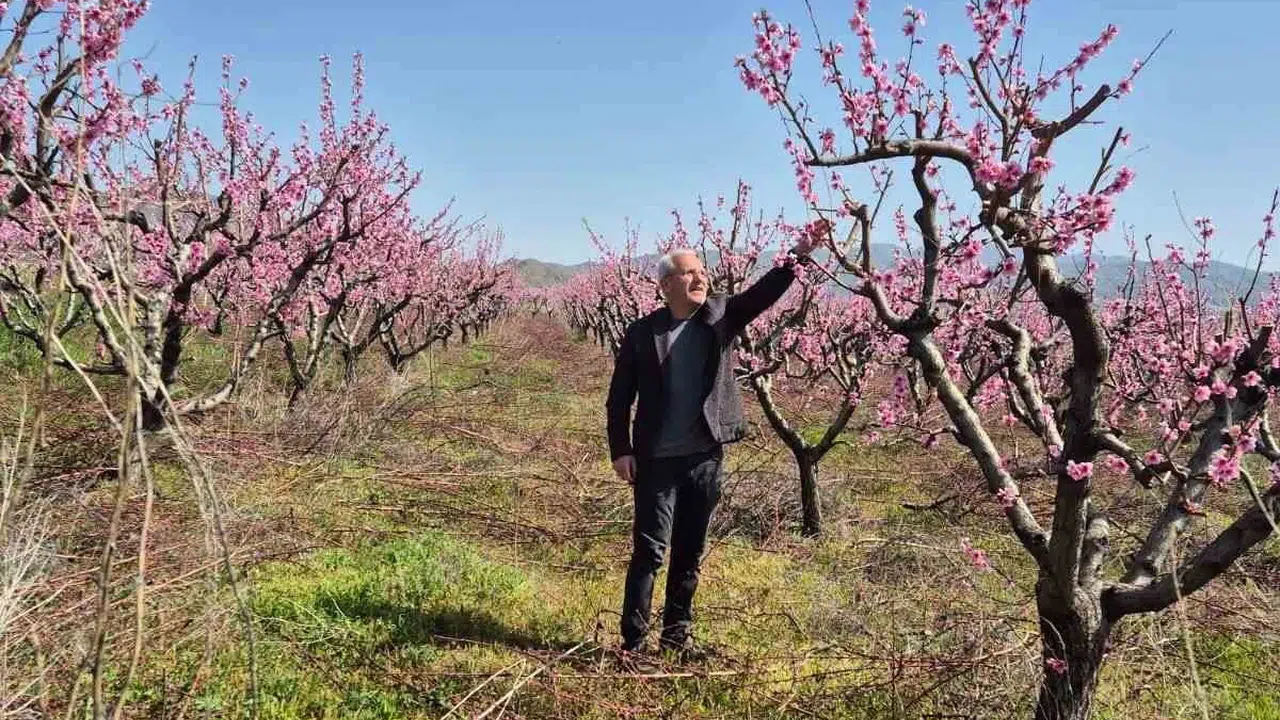 Elazığ’da meyve bahçelerinde seferberlik: Verimi artırmak için sahaya indiler