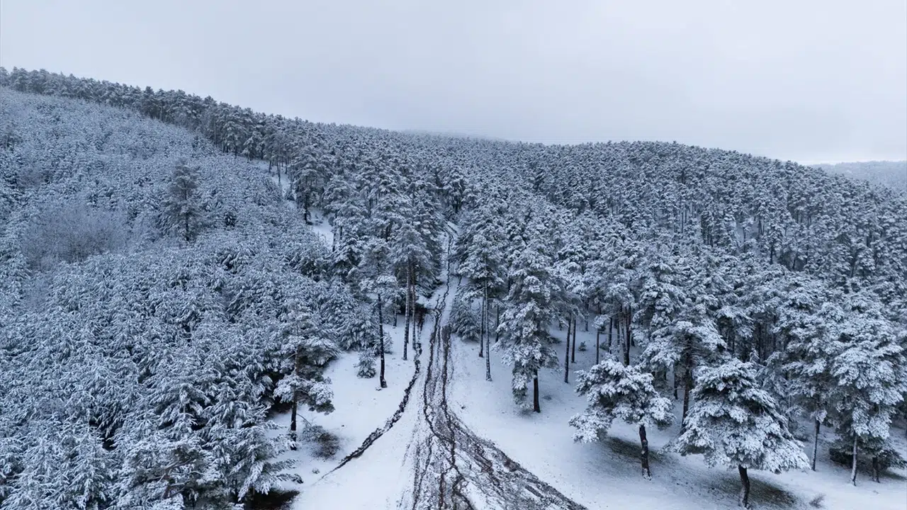 Baharın ortasında kış sürprizi: Yozgat’ta ormanlar yeniden beyaza büründü