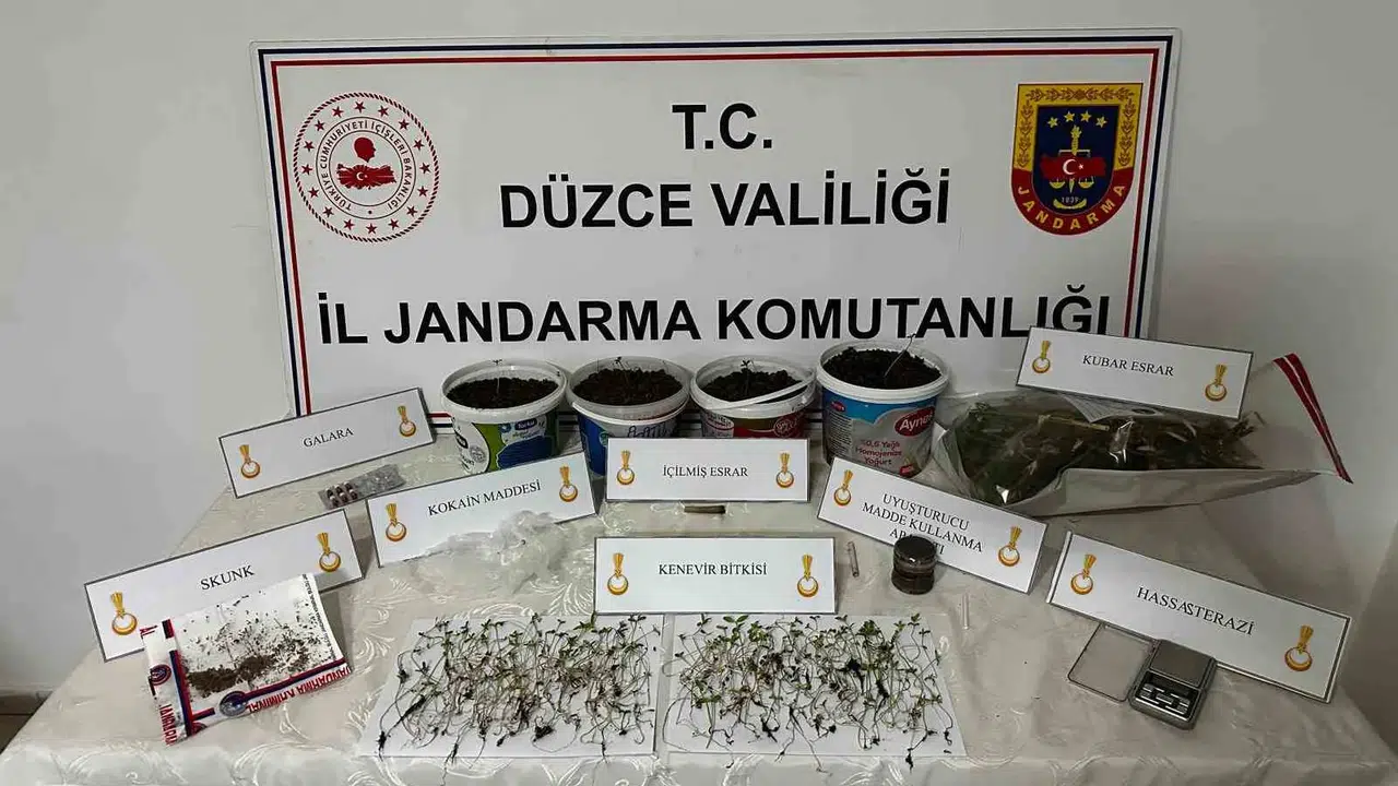 Düzce’de saksı operasyonu: Evini uyuşturucu serasına çeviren şüpheli kıskıvrak yakalandı