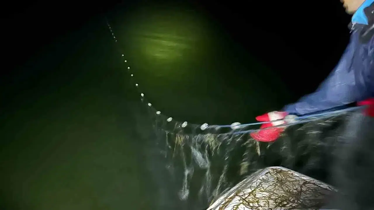 Eğirdir Gölü'nde gece operasyonu: Kaçak avcıların bin 200 metrelik ağına el konuldu