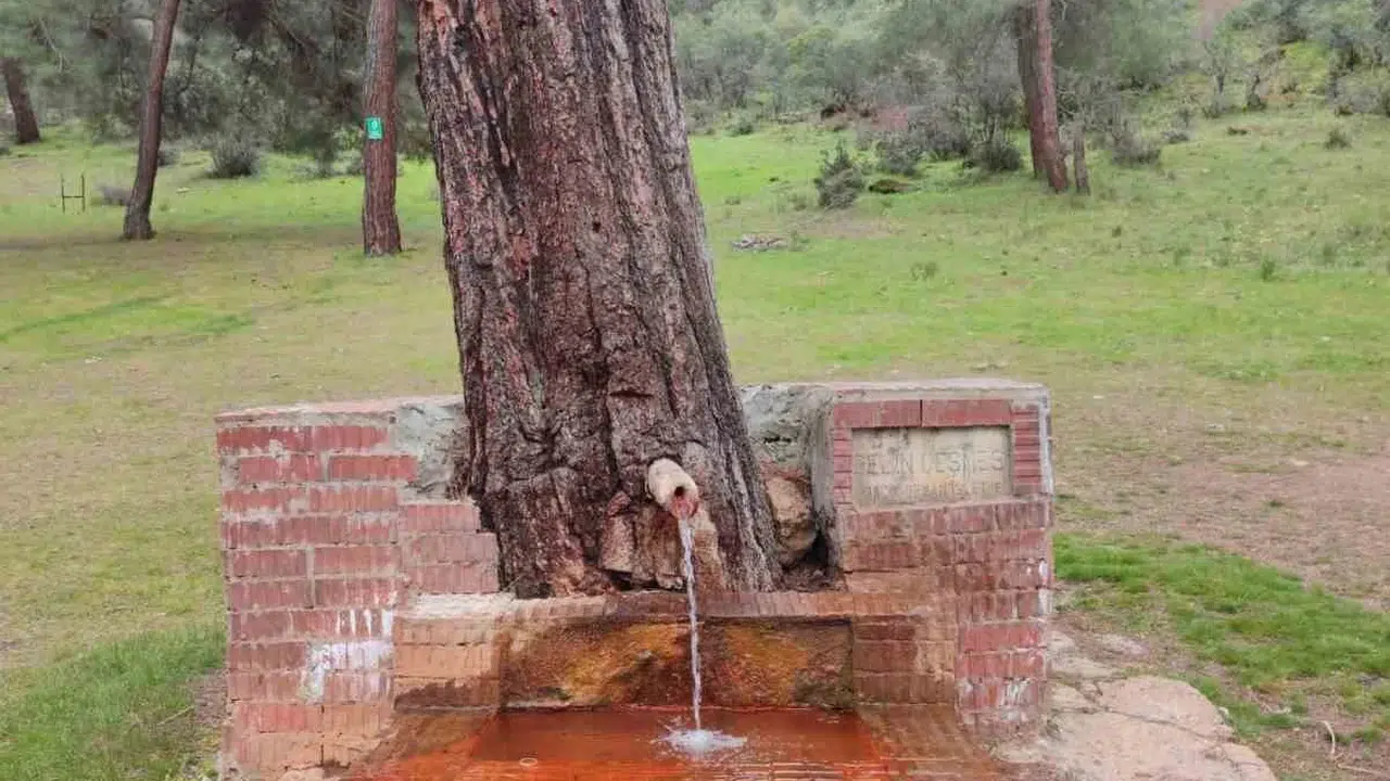 Doğanın kalbinden gelen şifa: Şişesini kapan Laçin’e koşuyor