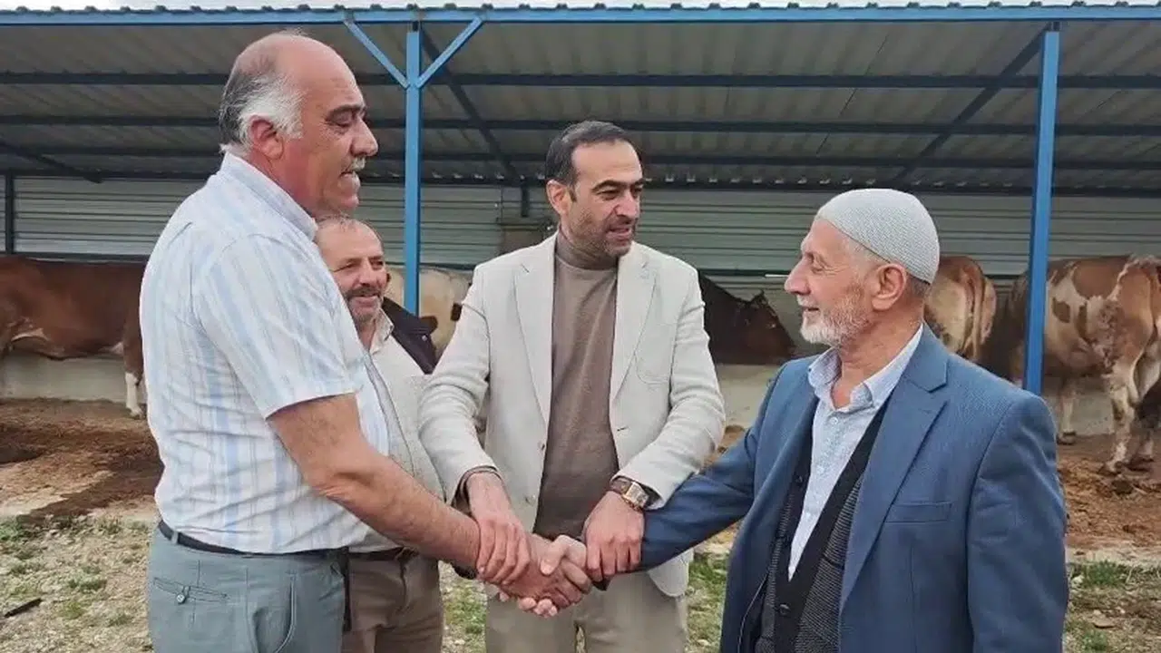 Kurban pazarlarında bayram mesaisi: 100 bin liradan başlıyor, kıran kırana pazarlıklar sürüyor