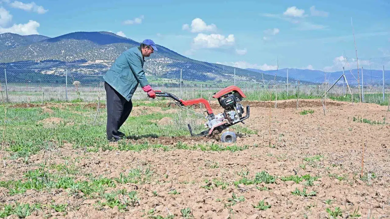 Emeklilikte yeni bir sayfa açtılar: Korkuteli'nde ipek böcekçiliği dönemi başlıyor