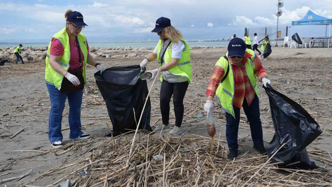 Tarsus’ta caretta caretta mesaisi: Kumsallar onlar için tertemiz yapıldı
