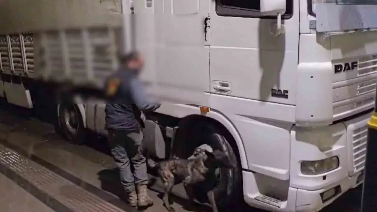 Sivas'ta zehir tacirlerine geçit yok: 12 kilo skunk ele geçirildi