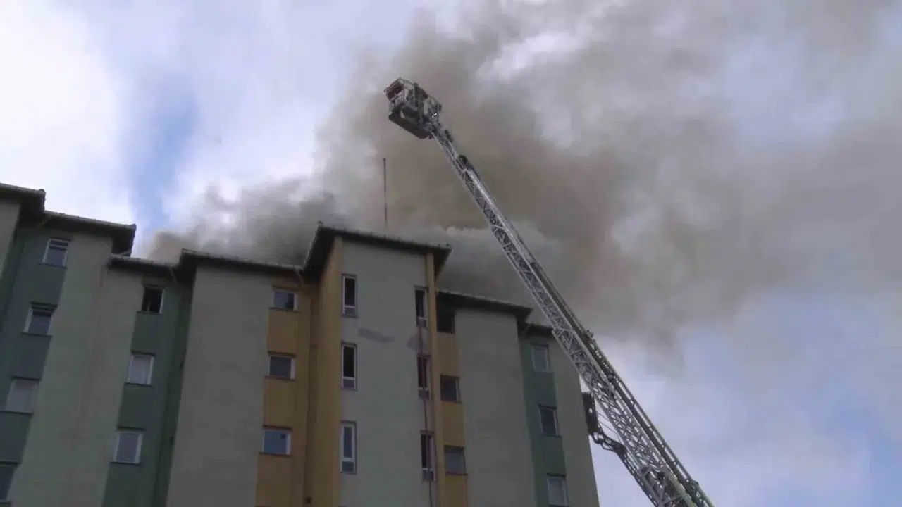 Ataşehir’de korku dolu sabah: Alevlerin arasında kalan sakat köpeğini kurtaramadı