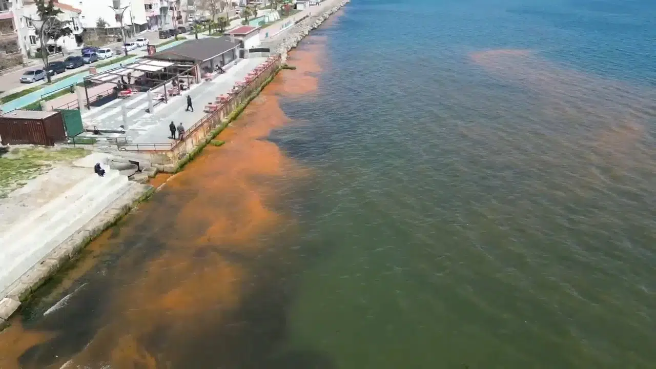 Tekirdağ sahilinde şaşırtan görüntü: Deniz neden renk değiştirdi?