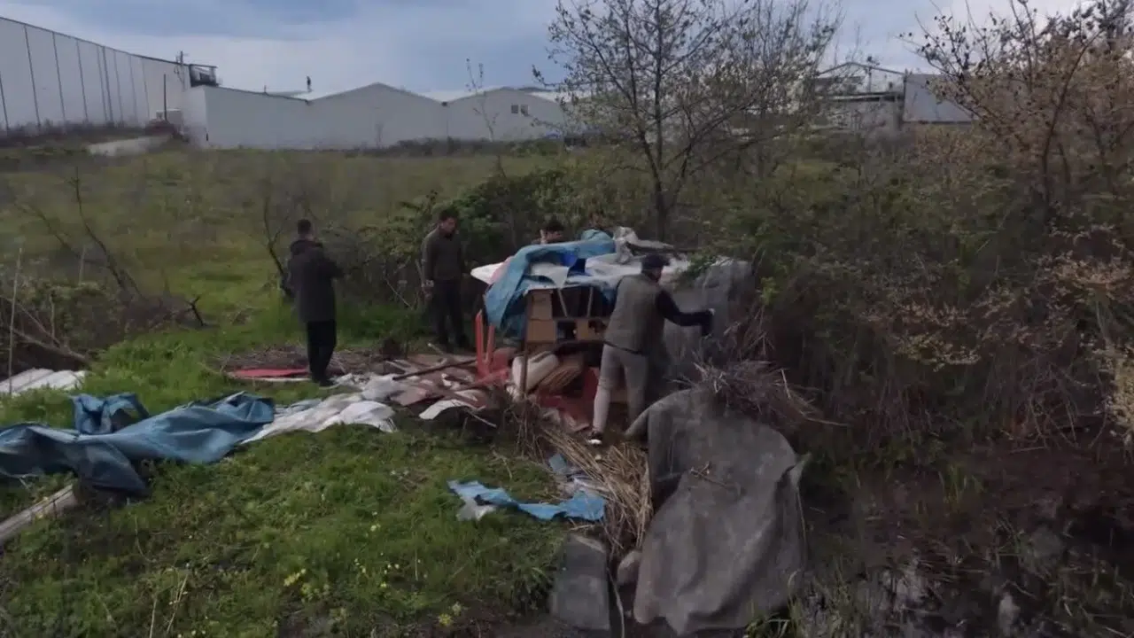 Bursa’da yaban hayatına göz açtırmadılar: Kaçak avcıların gizlendiği o yapılar yerle bir edildi