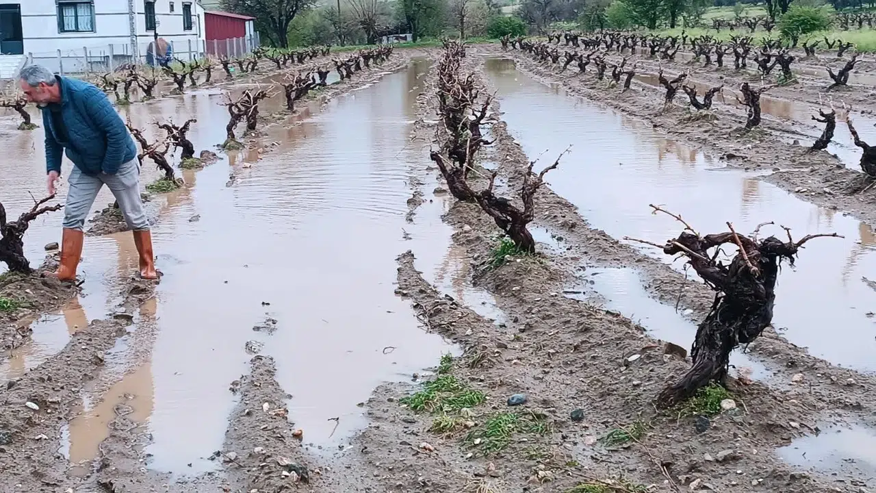 Elazığ’da dolu felaketi: Tarım arazileri için seferberlik ilan edildi