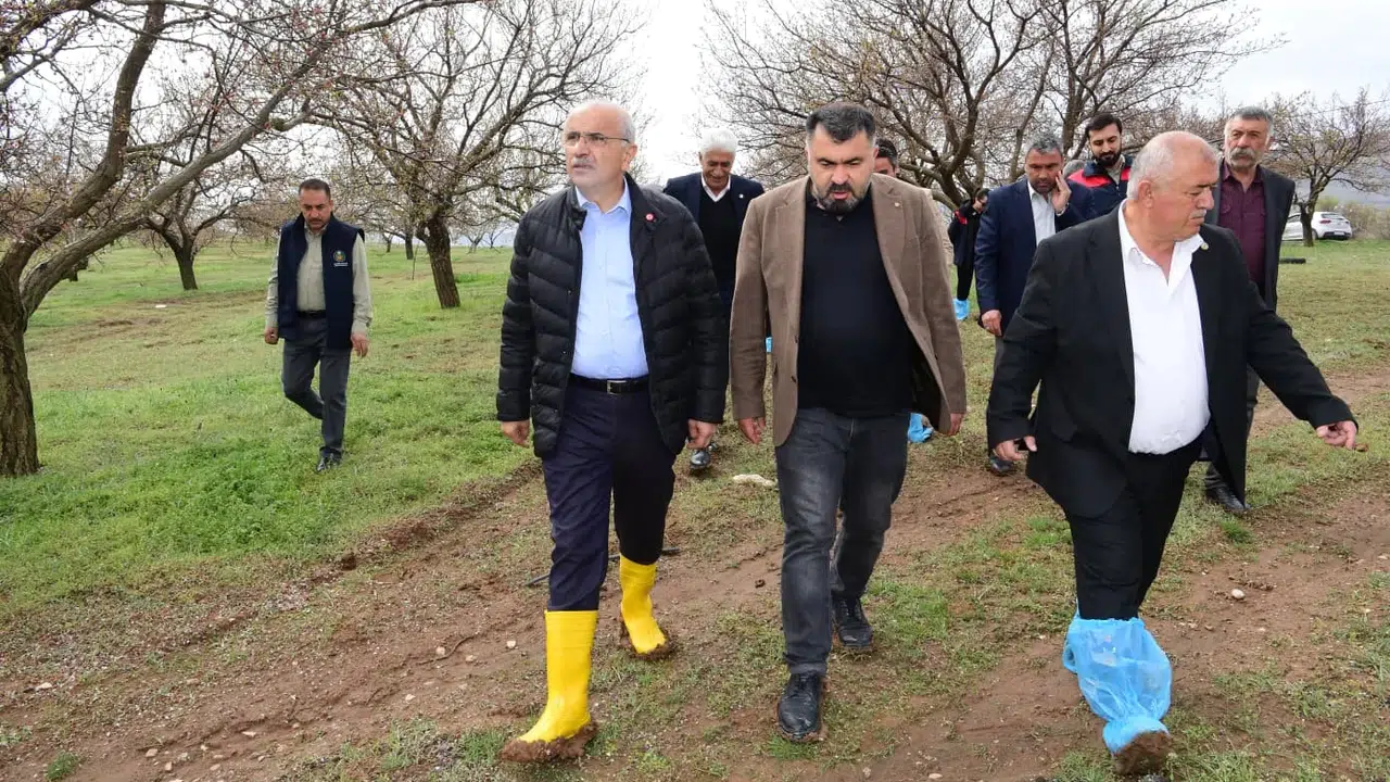 Malatya’da kayısı üreticisinin umutları dolu yağışıyla yarım kaldı: Başkan Sami Er sahaya indi