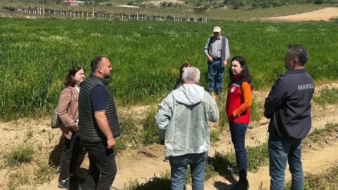 Sarıgöl’de tarımsal dönüşüm: İncir üretimi için uzman desteği sahaya indi