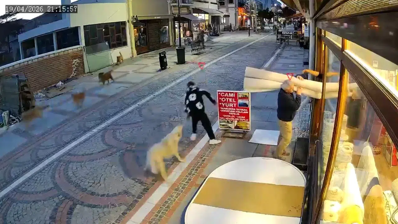Edirne'nin kalbinde dehşet anları: Saraçlar Caddesi'nde yürüyen gence köpek saldırısı