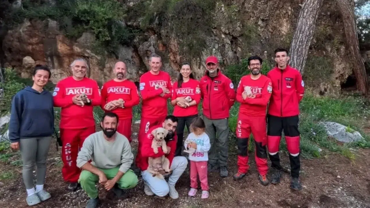 Kaya yarıklarında ölüm kalım savaşı: 6 yavru köpek için seferberlik ilan edildi