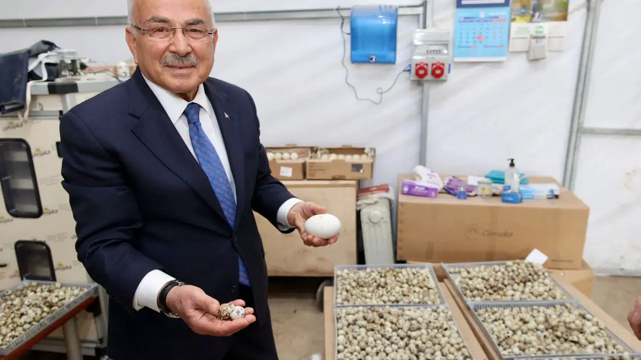 Ordu’da tarım ve hayvancılık devrimi: Başkan Güler’den  göçü tersine çevirecek  yeni hamle