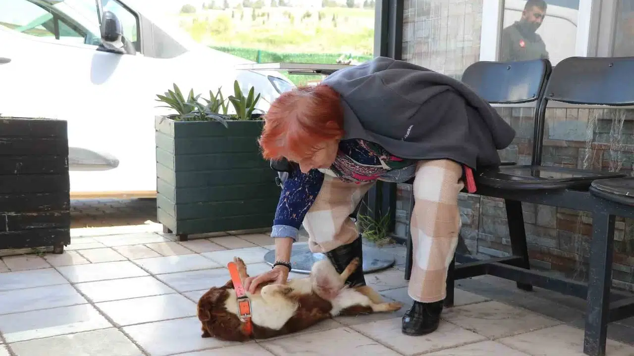 90 yaşındaki Cevriye Teyze’nin gözyaşları dindi: Bir yıllık hasret barınakta son buldu