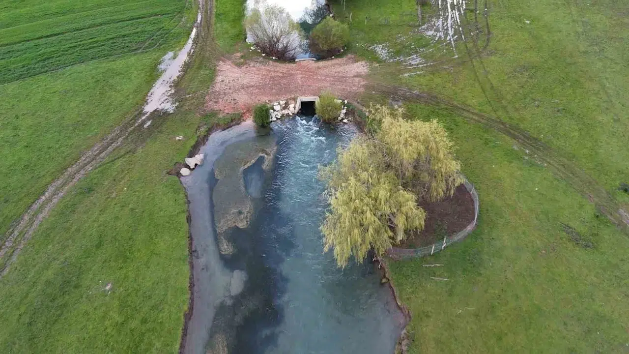 Baharın müjdecisi leylekler geldi: Apsıngır Ovası’nda kartpostallık görüntüler