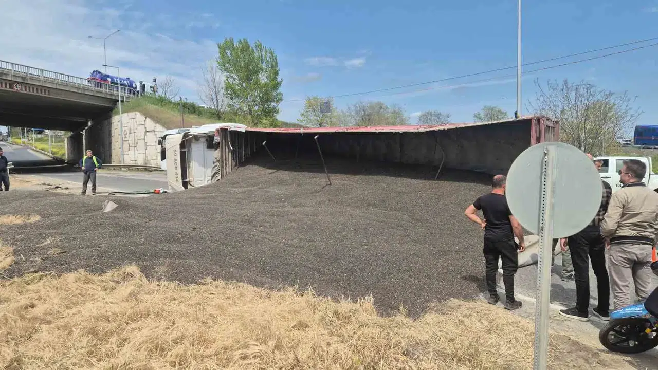 Trafiği ayçiçeği tarlasına çevirdi: Tonlarca ürün yola saçıldı, ulaşım felç oldu