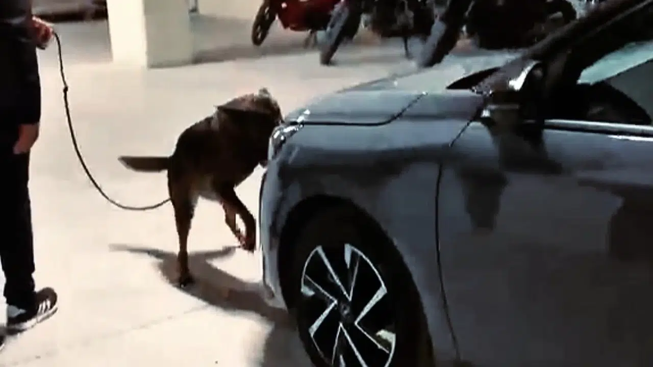 Çanakkale’de suçlulara geçit yok: Bir haftalık operasyon bilançosu açıklandı