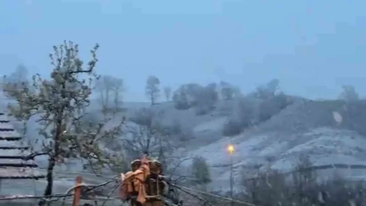 Baharın müjdecisi beklenirken kış geri döndü: Tokat'ta çiçek açan ağaçlar kar altında kaldı