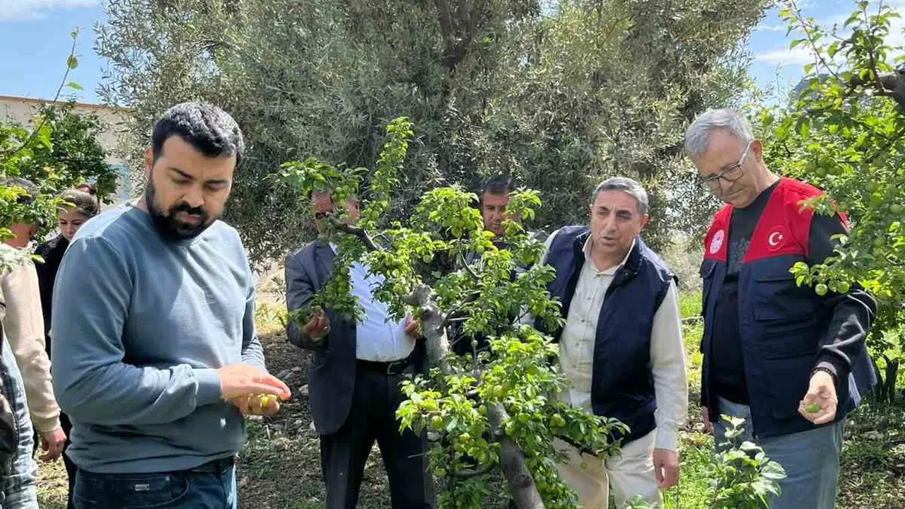 Silifke'de dolu felaketi: Emekler bir anda yok oldu, devlet sahaya indi