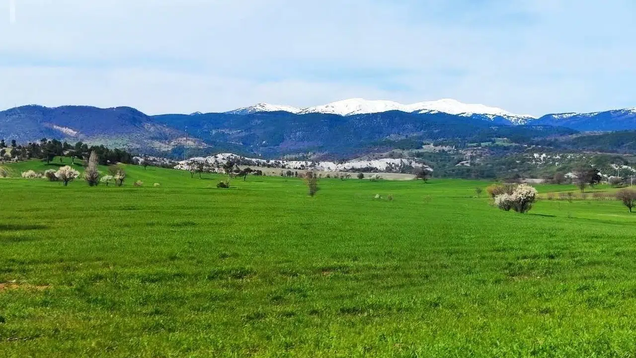 Gediz’de doğa rengârenk gelinliğini giydi: Baharın gelişiyle yeryüzü yeniden hayat buldu